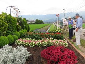 19821040_1390040577740671_1177315807_o