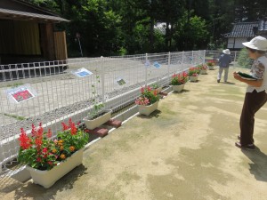 19830042_1390040371074025_2010620310_o