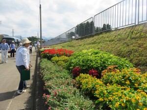 19830073_1390040451074017_685573301_o