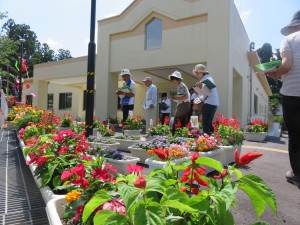 19830196_1390040261074036_1420545459_o