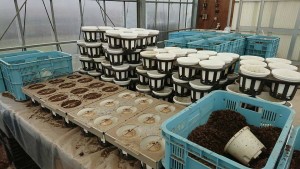 19848990_1386600384751357_875627319_n