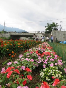 19849141_1390040567740672_1029797523_n