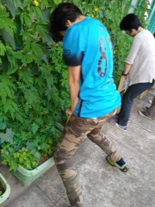 19858696_1388139957930733_750449967_n