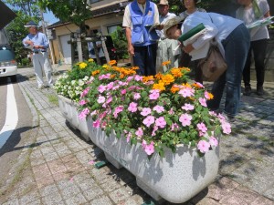 19859235_1390040284407367_1194460169_o