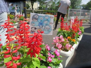 19866730_1390040281074034_843302788_o