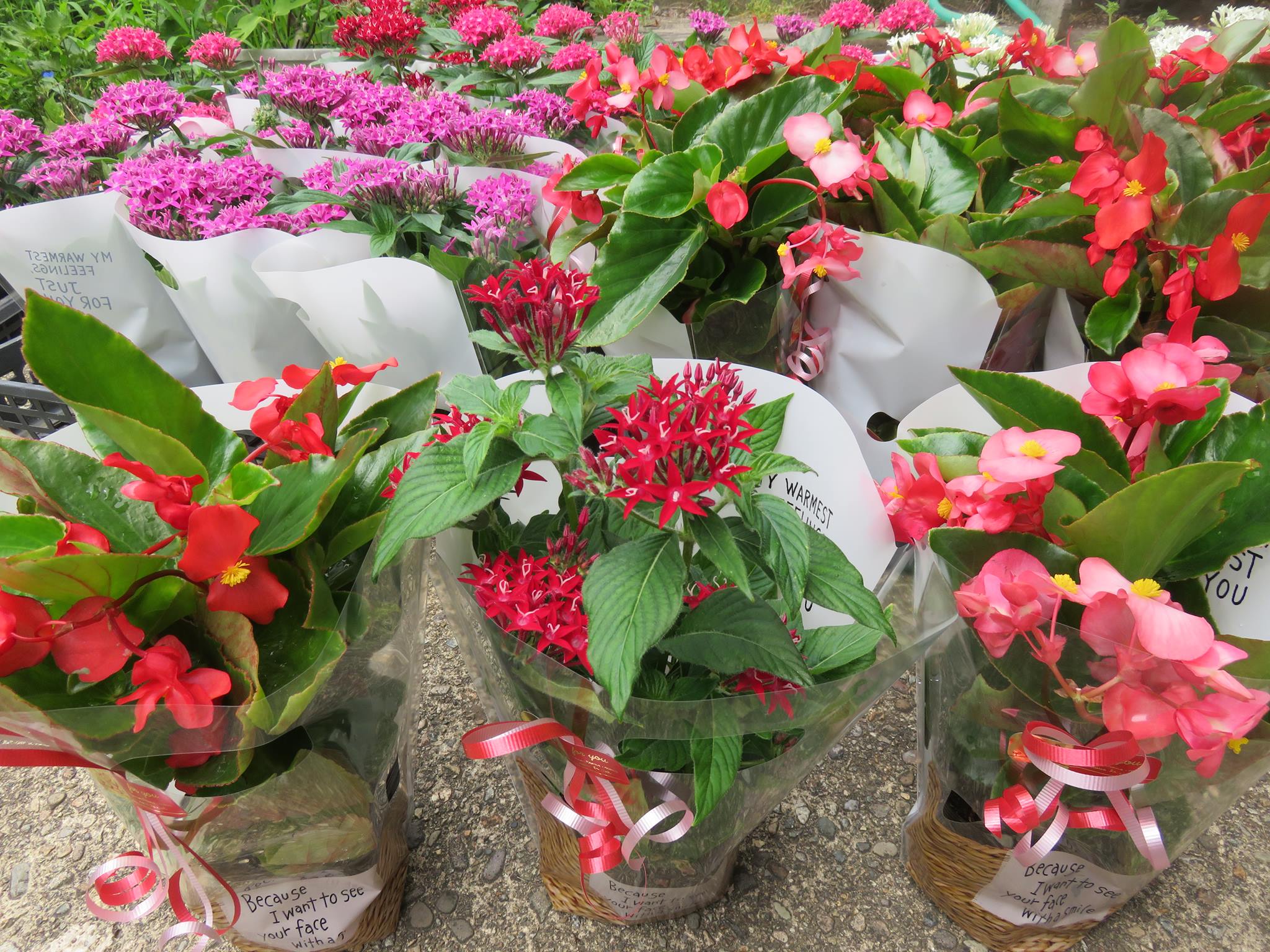 今年も「小さな音楽会」の会場装花＆