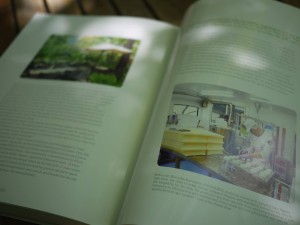 19983951_786805688163539_6017889688845965422_o