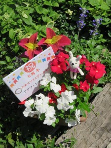 20289977_1404331456311583_1900098512_n