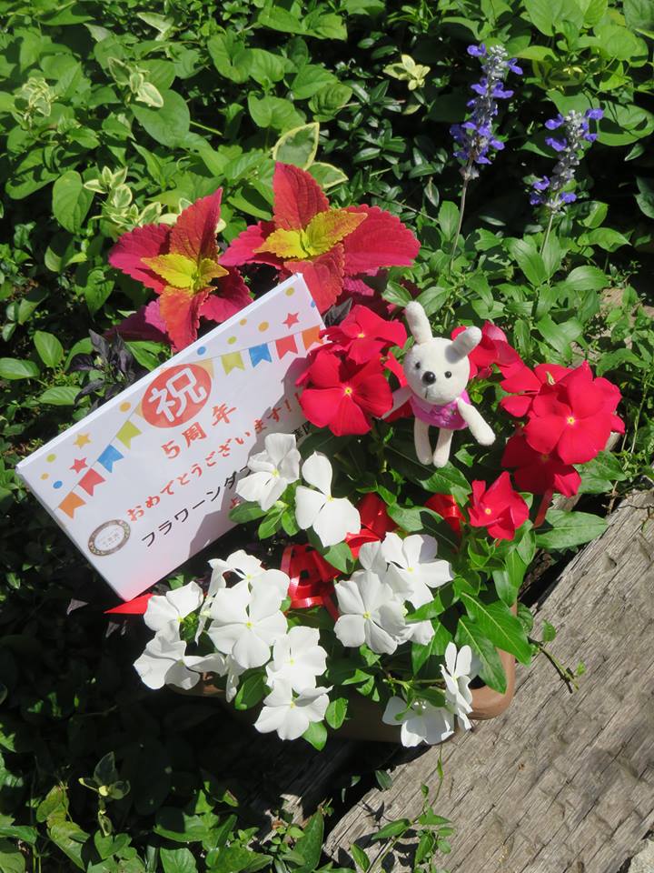 ランソレイエ５周年記念！！