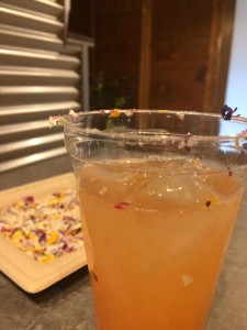 20294040_1478852428847146_3226471460635398724_n