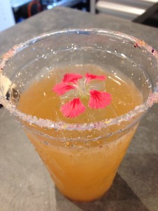 20374435_1312128768906706_2977675244627204743_n