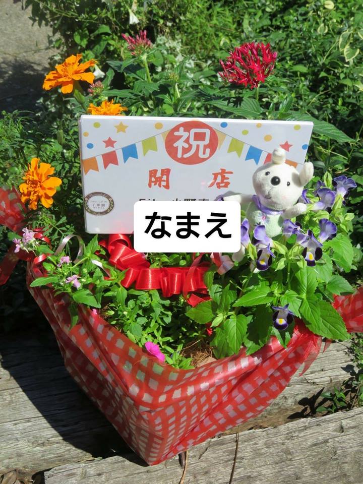 カフェの開店祝い