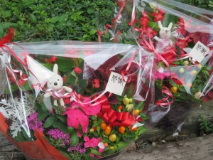 20427206_1409365029141559_1253150074_o