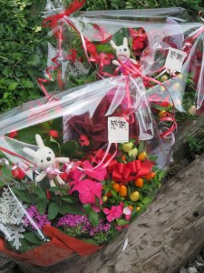 20428010_1409365032474892_1595993518_n