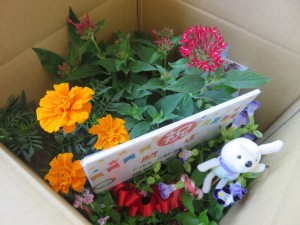 20472543_1408916825853046_1592930044_o