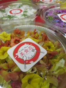 20496409_1411791902232205_701282226_n