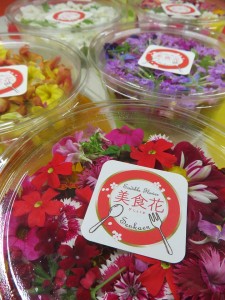 20503821_1411791898898872_310260458_n