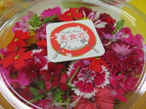 20517442_1411792115565517_516169807_o