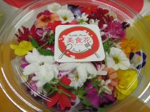 20517699_1411791922232203_1747972068_o