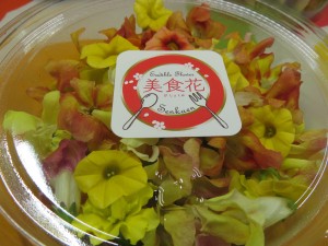 20524117_1411792112232184_577568415_o