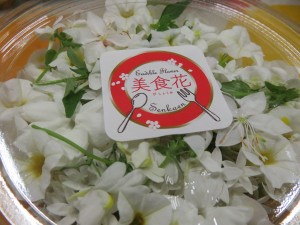 20524186_1411792105565518_791832208_o