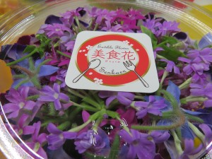 20524272_1411792108898851_1565713555_o