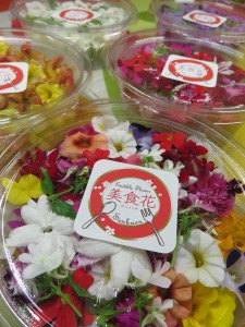 20526465_1411791892232206_851628390_n