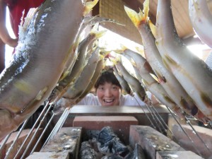 20545165_1417953834949345_5077258460836431649_o