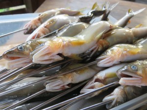 20545433_1417953628282699_867657318231080647_o