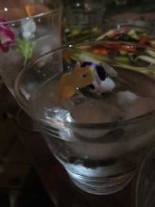 20604410_1417954471615948_1212830378617114695_n