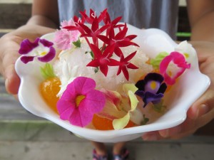 20615968_1417953654949363_7258313792756461716_o