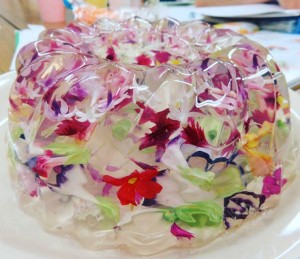 20617038_1415095355235193_4163025944272073510_o