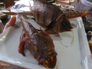 20643092_1417954314949297_6959346580918879267_o