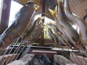 20643327_1417953784949350_7356937444500466162_o