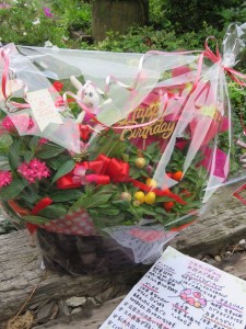 20646033_1418920908185971_2078490586_n