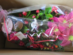 20684315_1418920918185970_296801592_o