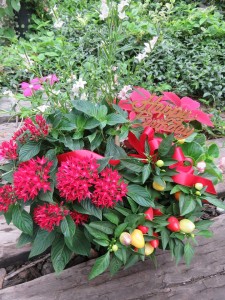 20732855_1421903001221095_444672758_n