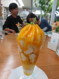 20770426_1423904757687586_3407660325223424984_n