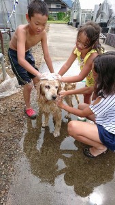 20840176_1426083354136393_1290327495_n