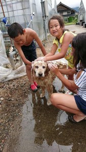 20840273_1426083240803071_1939011419_n