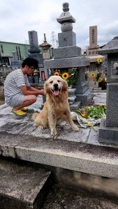 20840717_1426315587446503_2056798368892190047_n