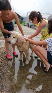 20884952_1426083250803070_1470346698_n