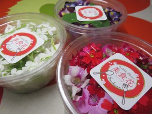 20945267_1428872760524119_1024335647_o