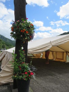 20953695_1433956160015779_2941491690480870864_n