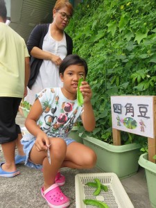 20986269_1431195070291888_1016288368_n