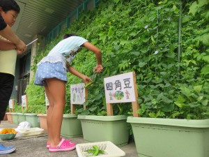 20993396_1431195063625222_185770283_o