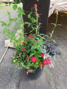 21034704_1433956266682435_3044486583048363901_n