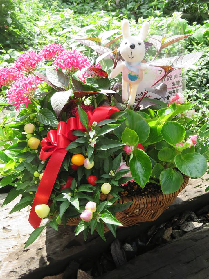 お花のプレゼント☆