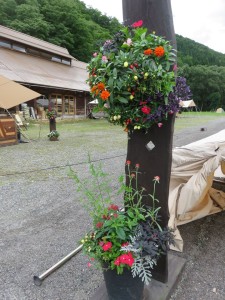 21077348_1433956480015747_3158670768265990881_n