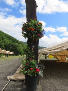 21105688_1433956260015769_1151399808861004756_n